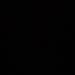 Meet your Posher, Tamar